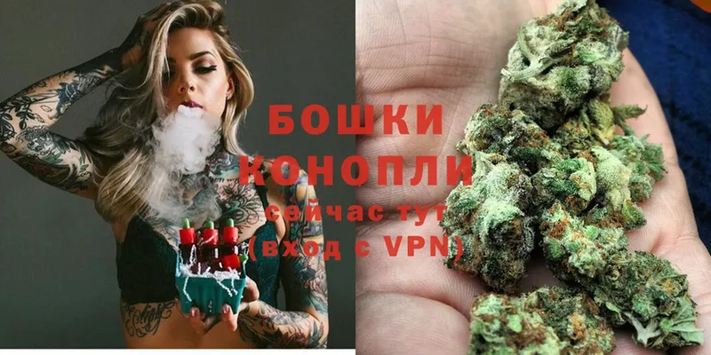 мориарти как зайти  Бирюсинск  Канабис OG Kush 